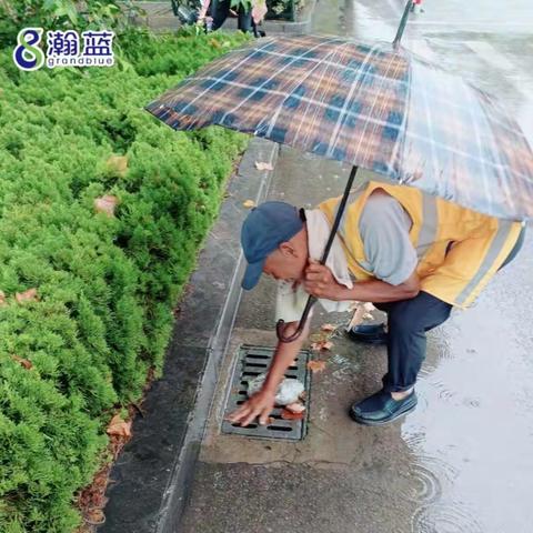创城在行动|金乡县环卫服务中心“雨后即清洗” 守护城市清洁
