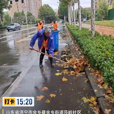 创城在行动|秋风秋雨扫落叶