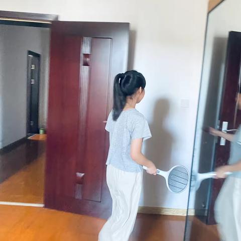 灭蚊行动