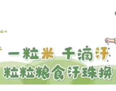 【感党恩、听党话、跟党走】“粮”辰美景，不负“食”光——蒙古族幼儿园集约节约光盘行动主题活动