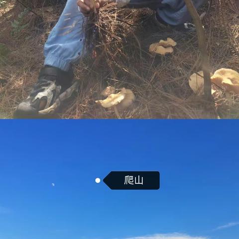 与你“童”乐，遇见夏天（副本）