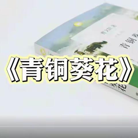 读书交流会之《青铜葵花》