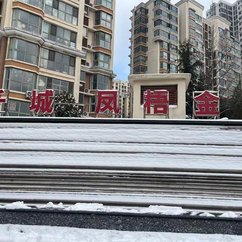 闻雪而动 踏雪而行 丨凤梧金沙·瑞源物业除雪护航