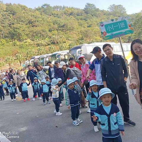 畅游秋色，探索秋趣 小一班亲子秋游活动