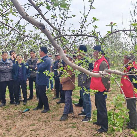 市科协深入张洪镇开展全国“两会”精神专题宣讲暨科技赋能乡村振兴果业种植与管理实用技术培训活动