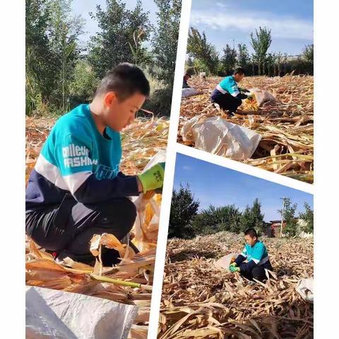 迎中秋庆国庆———劳力劳心，亦知亦行，劳动是生命的底色，也是人获得知识求得发展的源泉和动力。