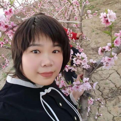 我的育人故事——羌白镇中心小学教师穆景莉：追光不止，向阳而生！