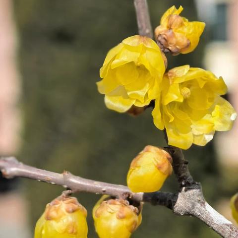 毕建高老师简介