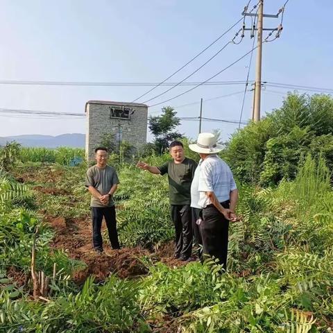 东阿镇太和办事处一周工作回顾（8.14—8.13）第34期