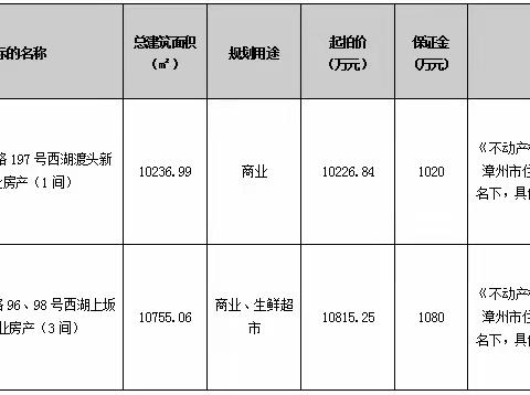 漳州市西湖渡头新苑及上坂新苑商业房产拍卖公告