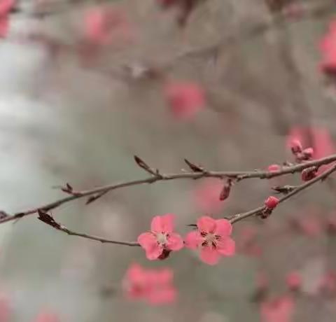 妙笔生花——课堂互动绘图像