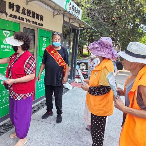 绿色行动，从我做起！流亭街道垃圾分类新风尚席卷杨埠寨社区
