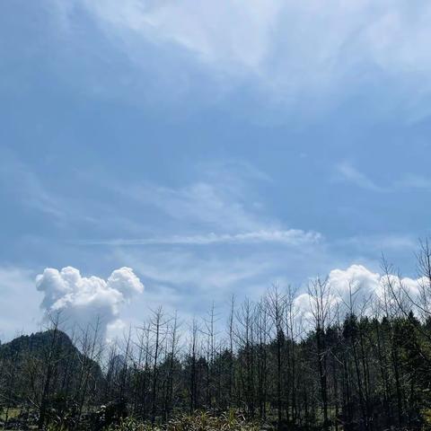 趣野/去接收山野的能量