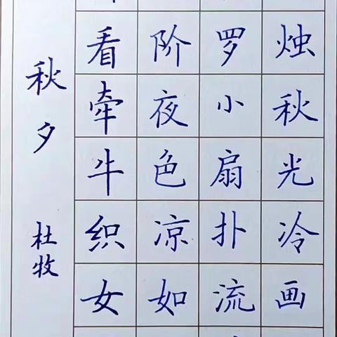 支教岛汉字书写素养50班100周作业