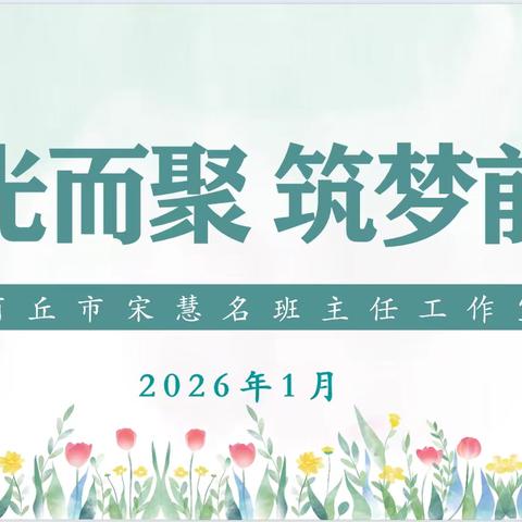 逐光而聚 筑梦前行 --商丘市宋慧名班主任工作室 年度工作总结