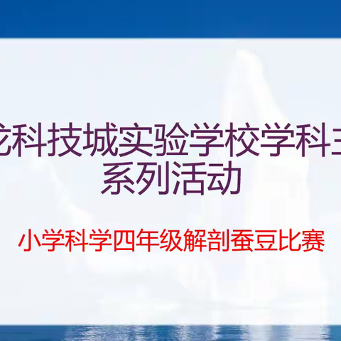 探秘生命的起点：蚕豆种子解剖观察记——记宝龙科技城实验学校四年级科学主题活动