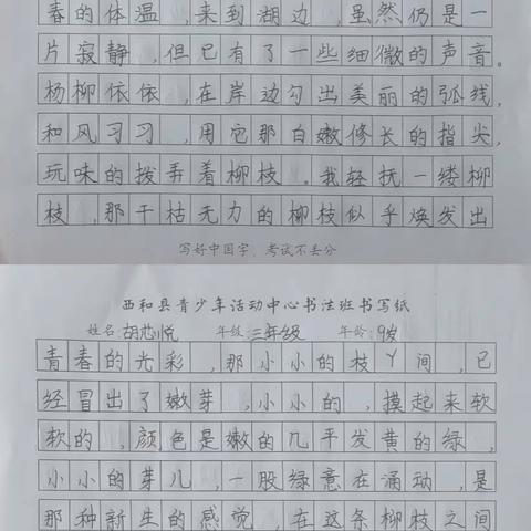 西和县青少年活动中心暑假书法班学员硬笔书法作品(一)