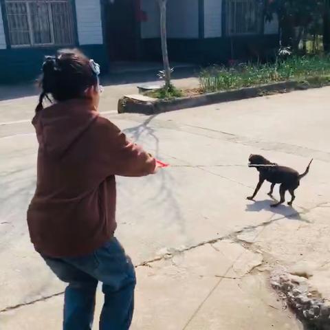 我的三个好朋友