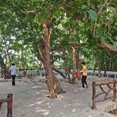 七里村开展“清洁村庄，每周一扫”人居环境整治工作