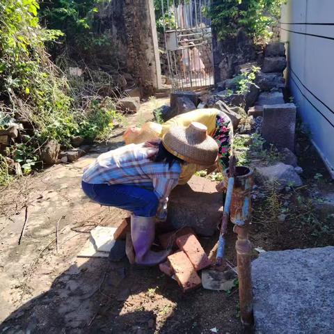 七里村开展“两热”防控人居环境整治工作