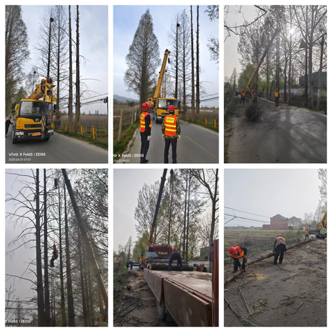 【西安祥瑞公路养护工程有限责任公司】本周工作简要