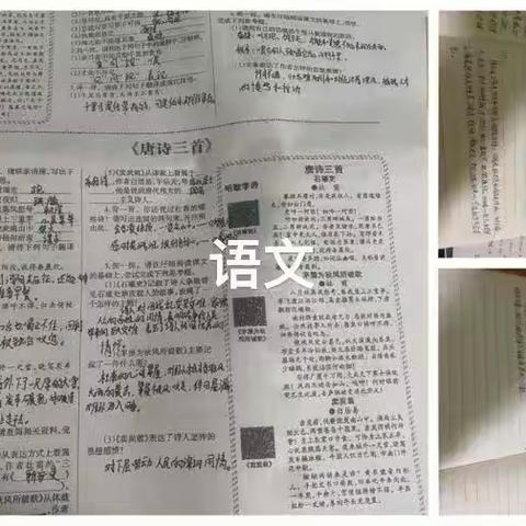 沁园中学八二十一班第二次寒假自主学习作业完成情况