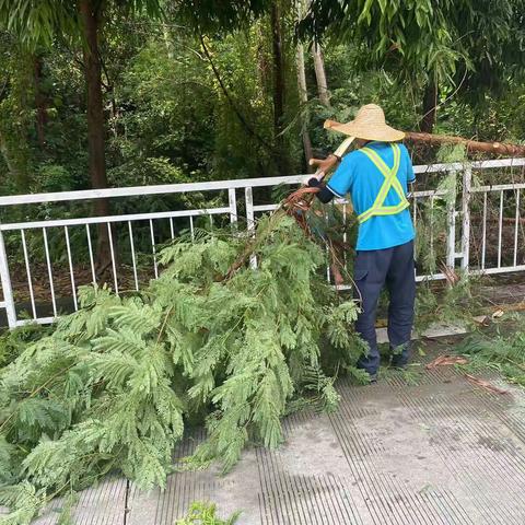 深云车辆段保洁工作亮点汇报