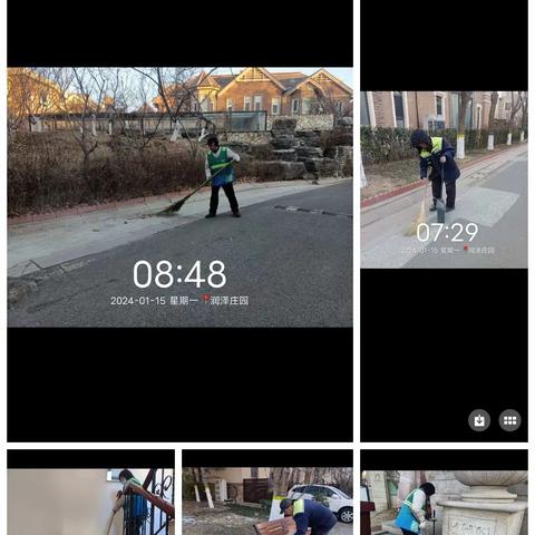 2024年1月15日润泽庄园工作日报