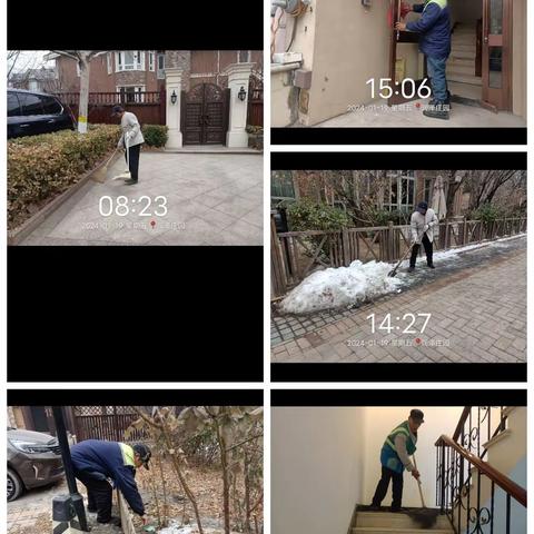 2024年1月19日润泽庄园工作日报