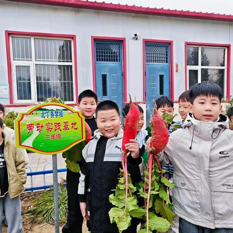 田垄藏珍味，劳动润童心——北丁务学校劳动课里飘出的丸子香