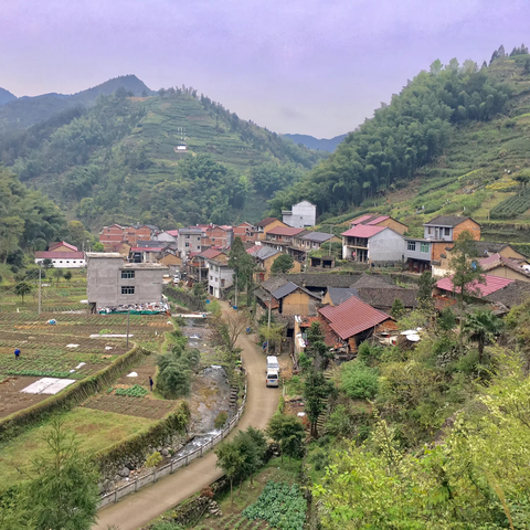 浙江傅氏村庄（0003）台州市仙居县安岭乡雅楼村（副本）