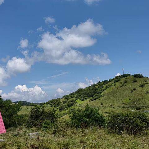 我的暑假研学旅行日记