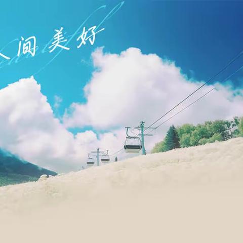 🌼奋于笃行，臻于至善🌼——麓梅G2311班军训纪实五