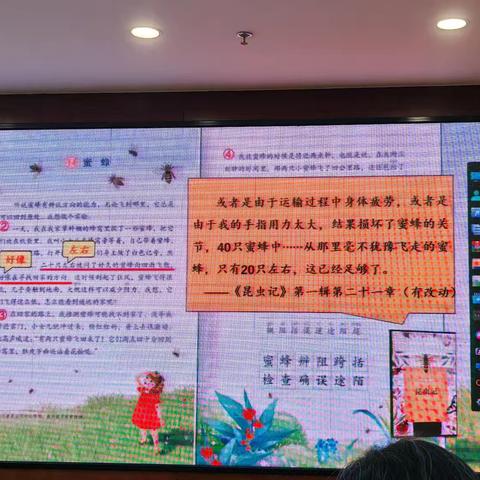 《蜜蜂》第二课时  樊薇薇（2）