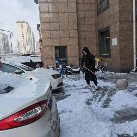 雪后的义务劳动 实验中学240班 张皓同