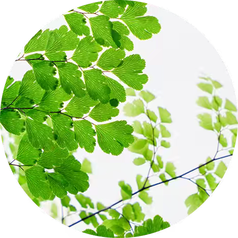 【庙山小学】暑期心理健康小贴士