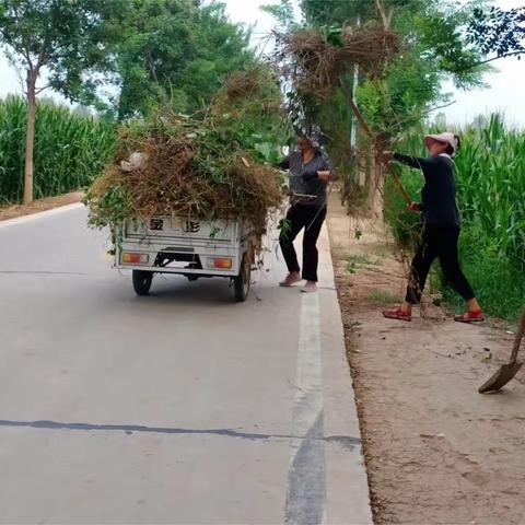 崇义镇：人居环境整治正在进行时