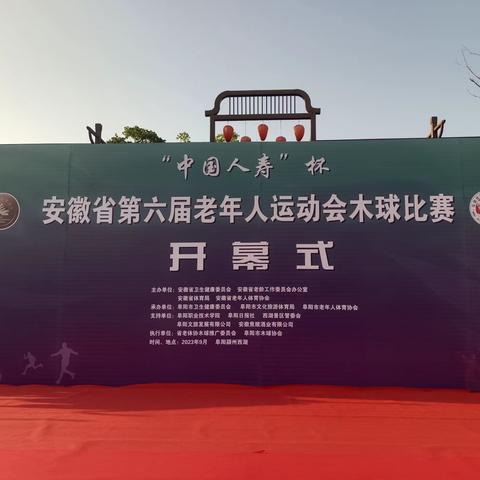 安徽省第六届老年人运动会木球比赛在阜阳市颍州西湖隆重举办并取得圆满成功