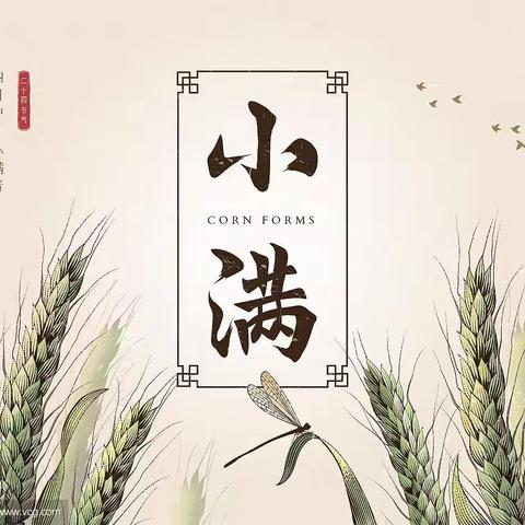 二十四节气——小满