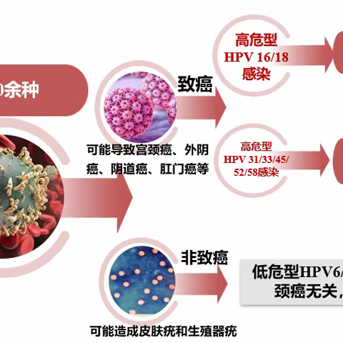 HPV疫苗，价越高越好吗？