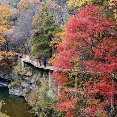 11月18号（周六）自驾南召挂钩潭，层林尽染、摄影、甩掉脂肪，户外吸氧一日游A费28元/人。