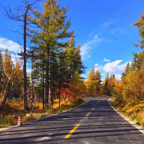 初三六班--游山川之美 念诗情画意