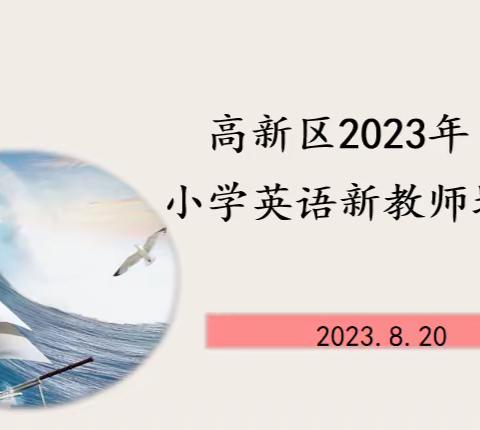 凝“新”聚力，赋能启航 ——记高新区小学英语新上岗教师培训活动