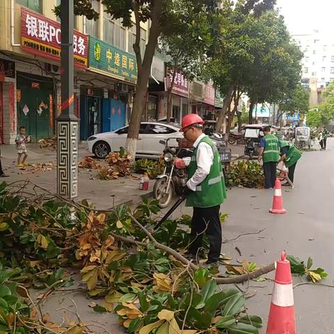 嵩县城市管理局绿化办防旱防洪工作简报