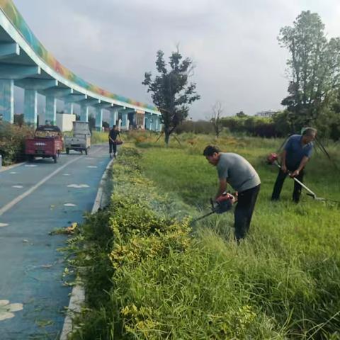 嵩县城市管理局嵩州公园 绿化办工作简报