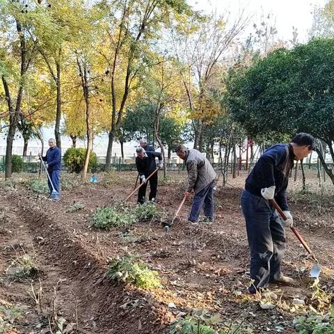 嵩县城市管理局嵩州公园 绿化办工作简报