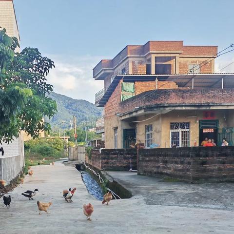 家家户户搬新居