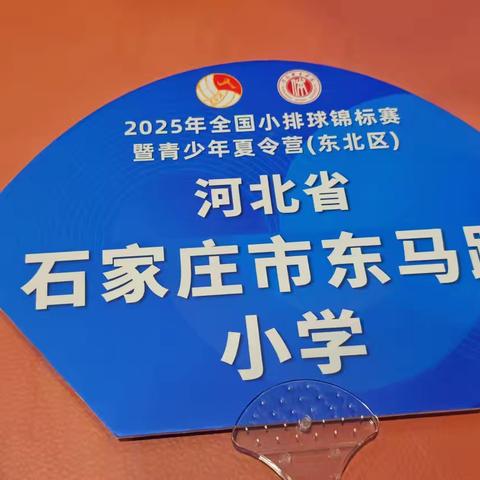 2025年小排球锦标赛暨青训营（东北区）活动纪实