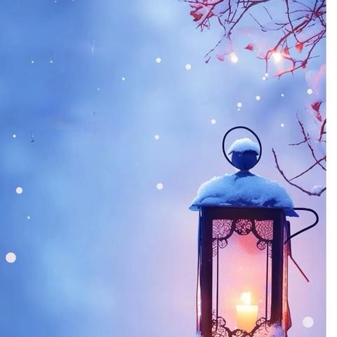 天一港乐生活服务中心 11月份第四周工作简报