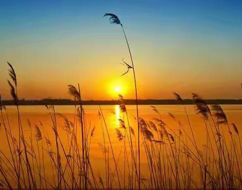 王相博专业写作7次课《通感练习》9次课《景物描写》